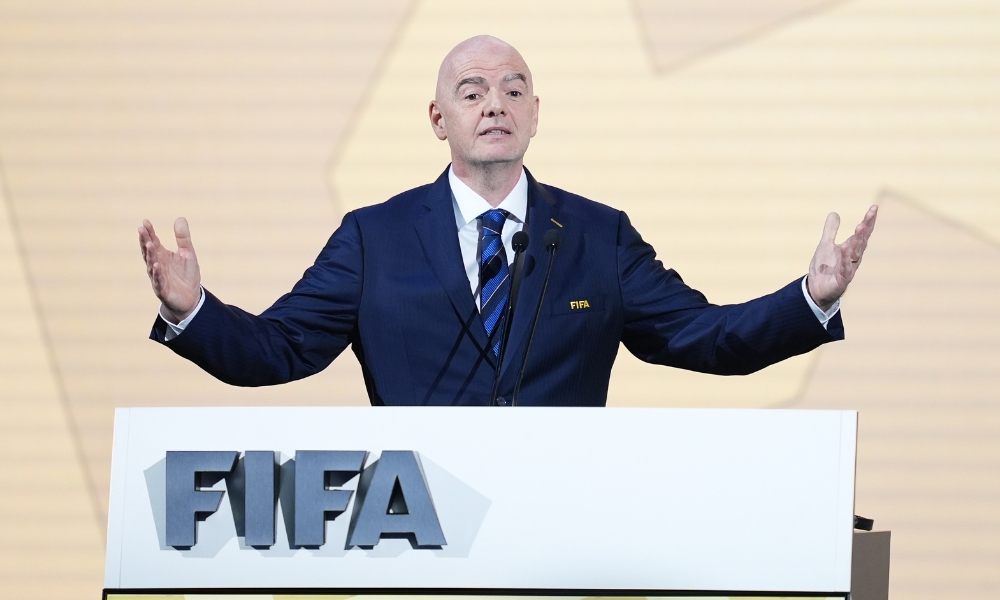 不仅可以提 不仅可以提